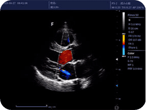 Clinical gallery image