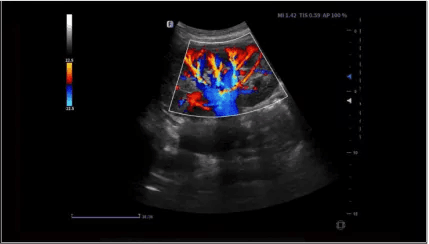 Clinical gallery image