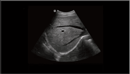 Clinical gallery image