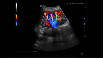 Clinical gallery image