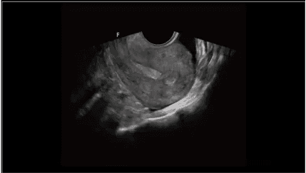 Clinical gallery image